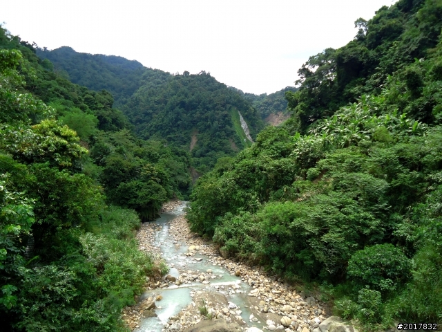 2012-8-26-27天秤二度來襲前(阿里山茶鄉之旅)