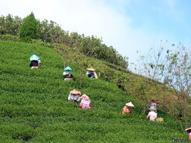 2012-9-2梅山太平大二尖山之行