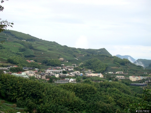 2012-8-26-27天秤二度來襲前(阿里山茶鄉之旅)