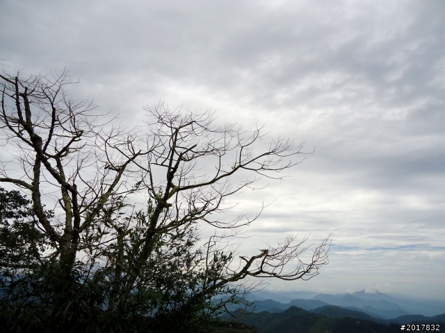 2012-8-26-27天秤二度來襲前(阿里山茶鄉之旅)