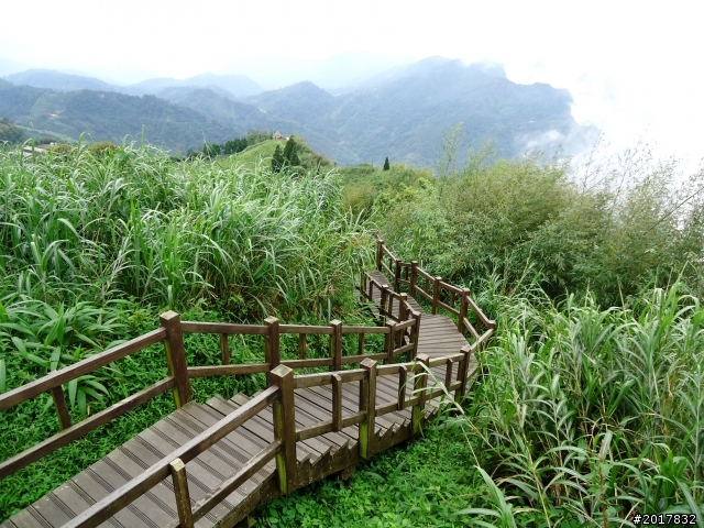 2012-8-26-27天秤二度來襲前(阿里山茶鄉之旅)