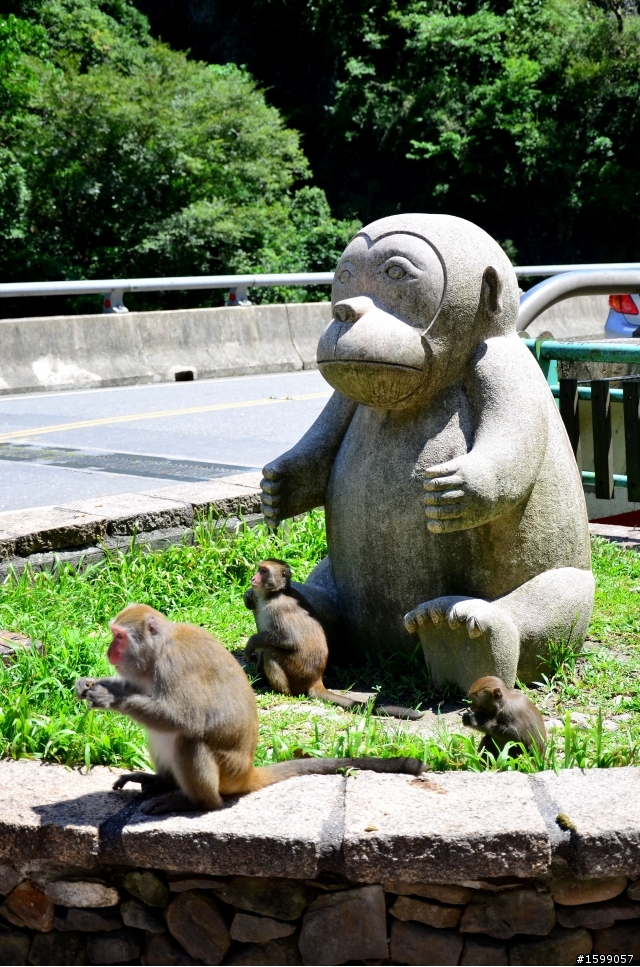 2012/08/31-09/01 花東縱谷雙載爆避震之旅