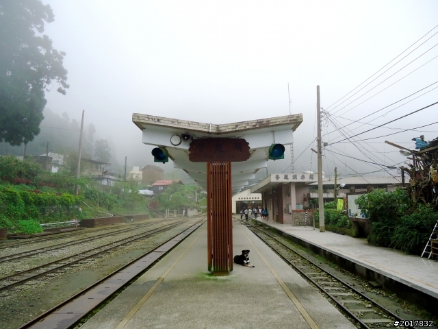 2012-8-26-27天秤二度來襲前(阿里山茶鄉之旅)