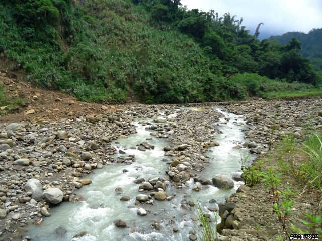 2012-8-26-27天秤二度來襲前(阿里山茶鄉之旅)