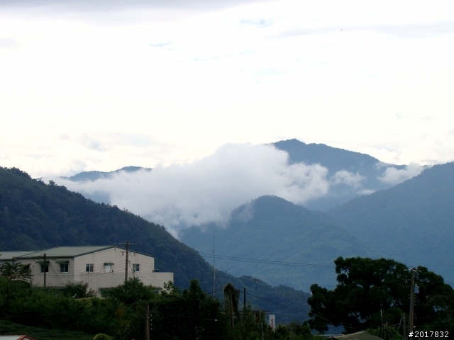 2012-8-26-27天秤二度來襲前(阿里山茶鄉之旅)