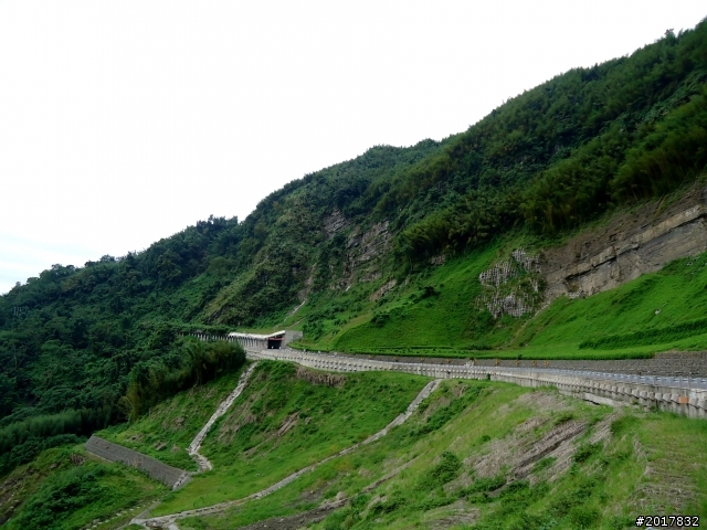 2012-8-26-27天秤二度來襲前(阿里山茶鄉之旅)