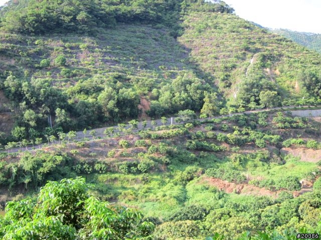 分享 東莞大嶺山騎行路線
