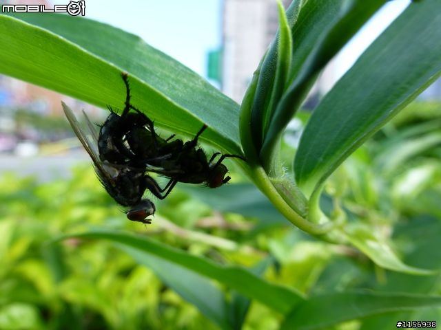 鏡頭框卡到鏡頭~~人工智慧先進的Panasonic DMC ZS20/TZ30