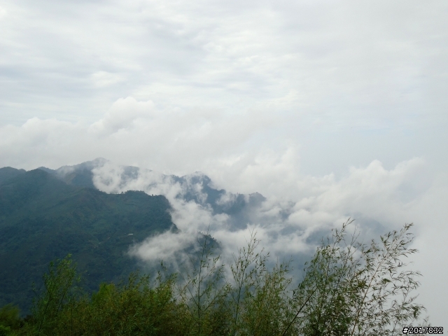2012-8-26-27天秤二度來襲前(阿里山茶鄉之旅)