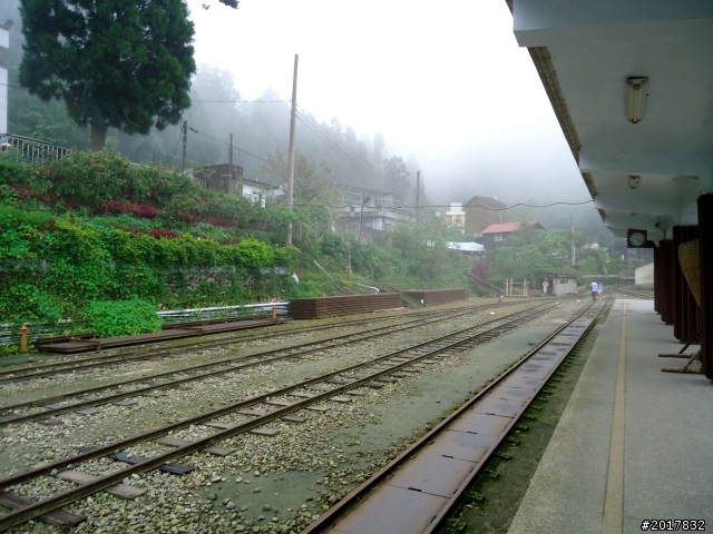2012-8-26-27天秤二度來襲前(阿里山茶鄉之旅)