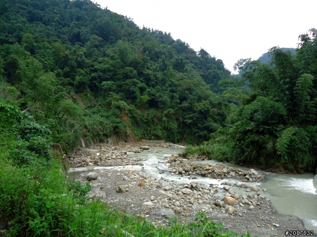 2012-8-26-27天秤二度來襲前(阿里山茶鄉之旅)