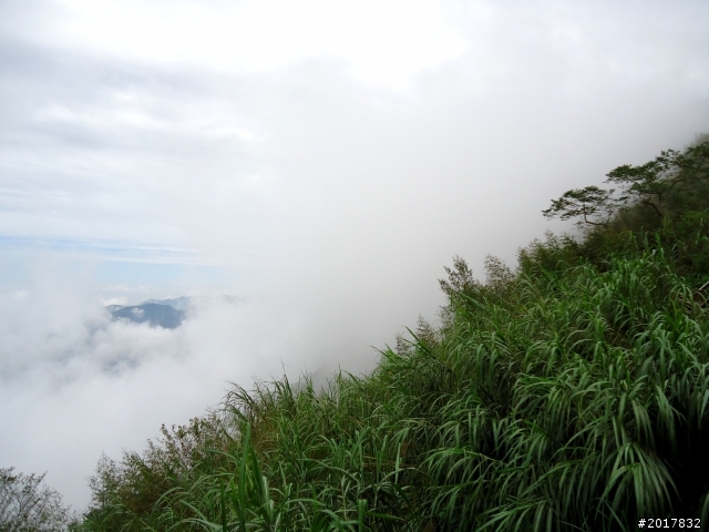 2012-8-26-27天秤二度來襲前(阿里山茶鄉之旅)