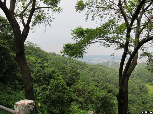 分享 東莞大嶺山騎行路線
