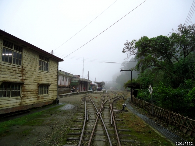 2012-8-26-27天秤二度來襲前(阿里山茶鄉之旅)