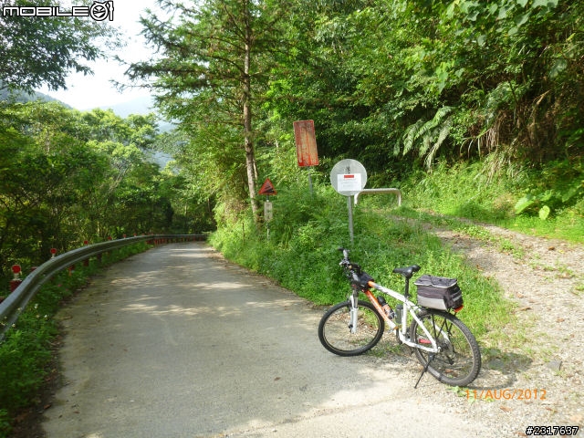 探究西坑林道殘念篇