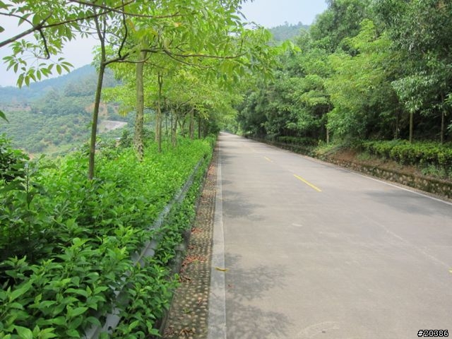 分享 東莞大嶺山騎行路線