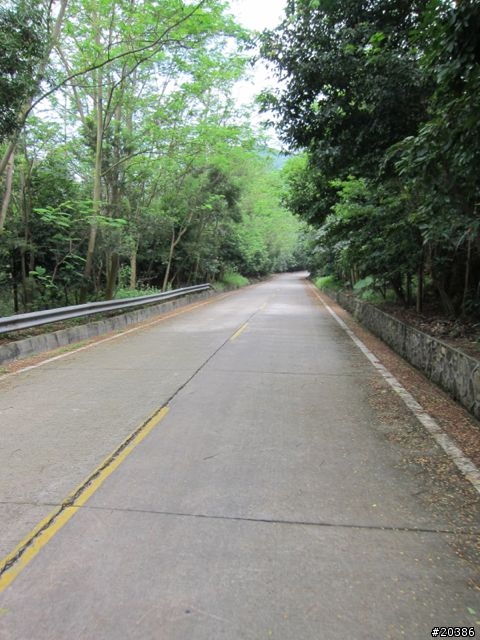 分享 東莞大嶺山騎行路線