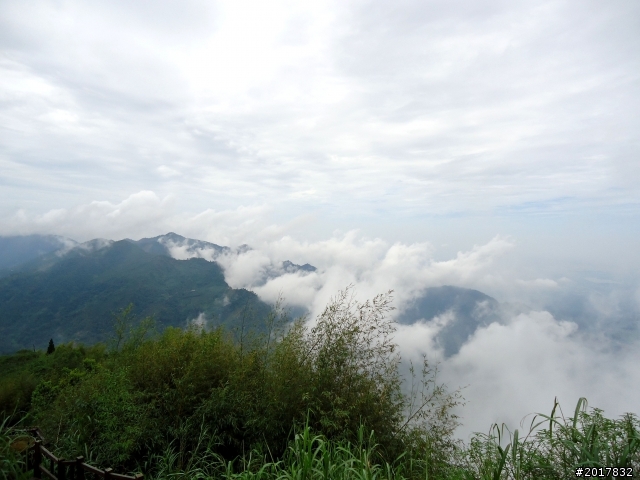 2012-8-26-27天秤二度來襲前(阿里山茶鄉之旅)