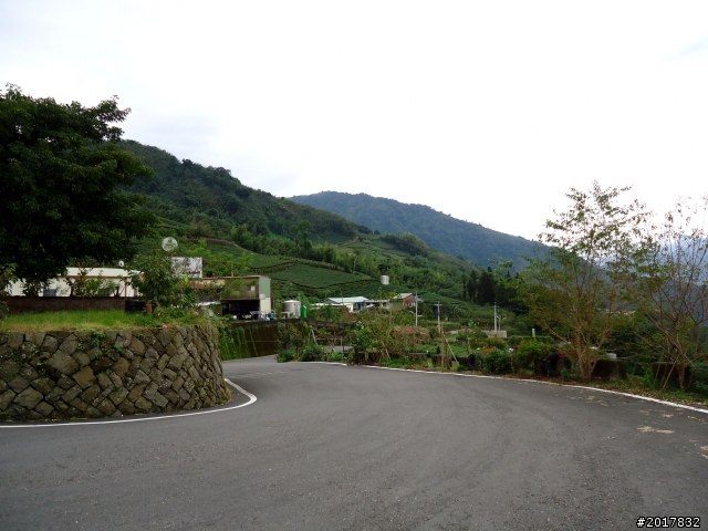 2012-8-26-27天秤二度來襲前(阿里山茶鄉之旅)