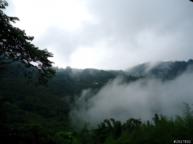 2012-8-26-27天秤二度來襲前(阿里山茶鄉之旅)
