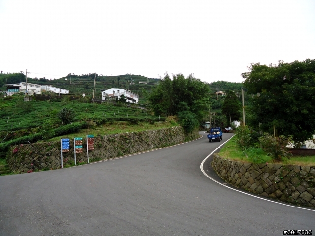 2012-8-26-27天秤二度來襲前(阿里山茶鄉之旅)