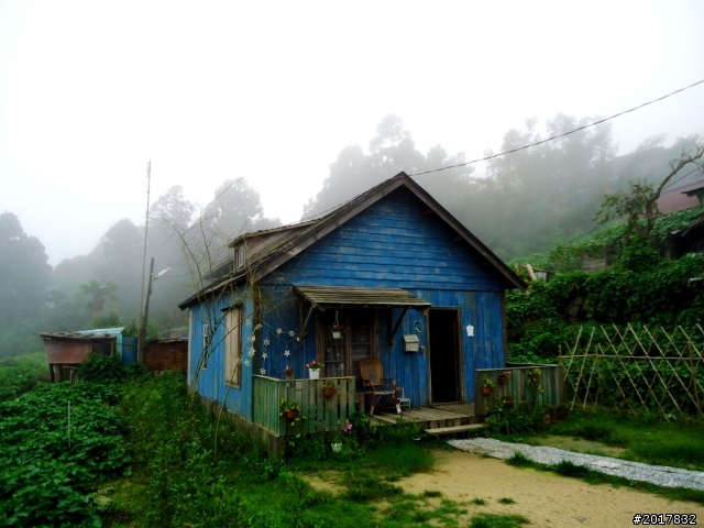 2012-8-26-27天秤二度來襲前(阿里山茶鄉之旅)