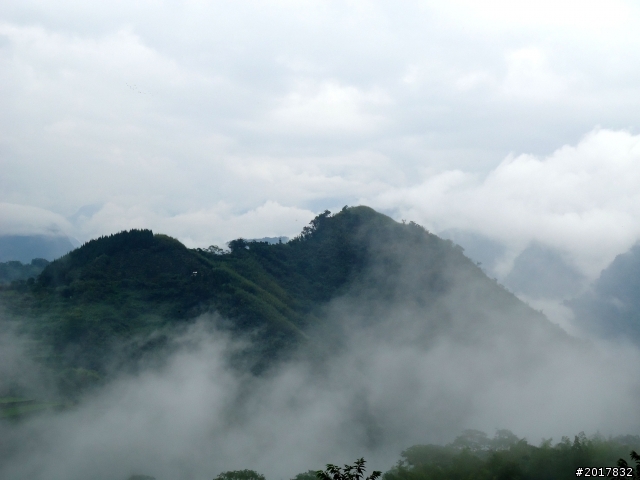2012-8-26-27天秤二度來襲前(阿里山茶鄉之旅)