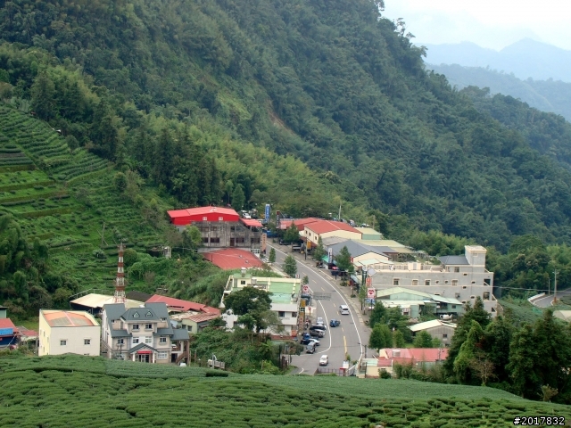 2012-8-26-27天秤二度來襲前(阿里山茶鄉之旅)