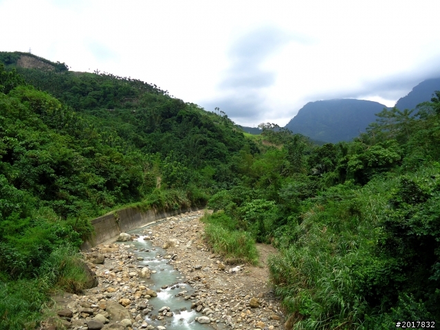 2012-8-26-27天秤二度來襲前(阿里山茶鄉之旅)