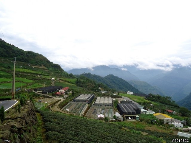 2012-8-26-27天秤二度來襲前(阿里山茶鄉之旅)