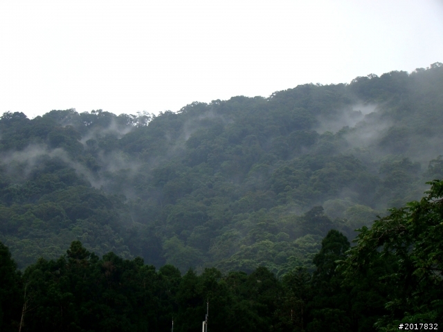 2012-8-26-27天秤二度來襲前(阿里山茶鄉之旅)