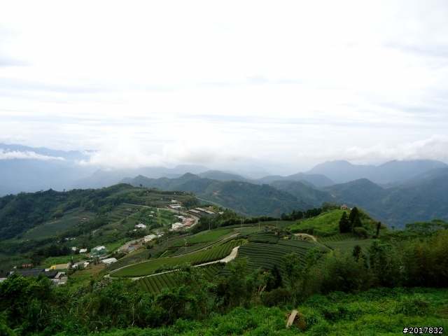 2012-8-26-27天秤二度來襲前(阿里山茶鄉之旅)