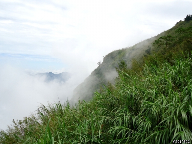 2012-8-26-27天秤二度來襲前(阿里山茶鄉之旅)