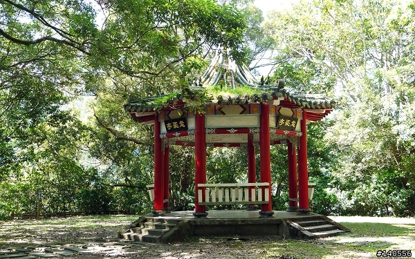 遊記「棲蘭國家森林遊樂區」,樹蔭遮日...