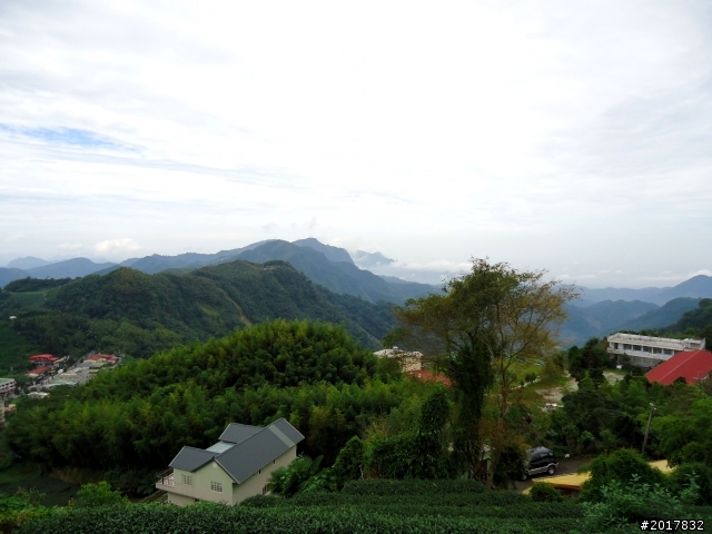 2012-8-26-27天秤二度來襲前(阿里山茶鄉之旅)