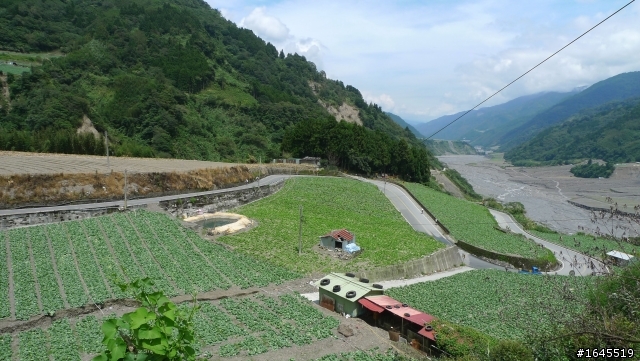 55歲歐巴桑超越巔峰