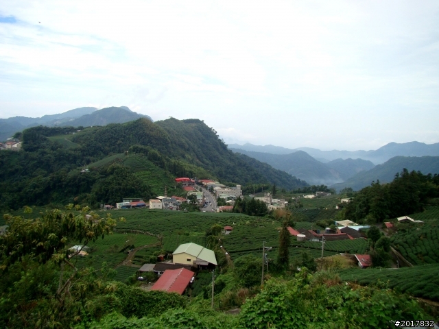 2012-8-26-27天秤二度來襲前(阿里山茶鄉之旅)