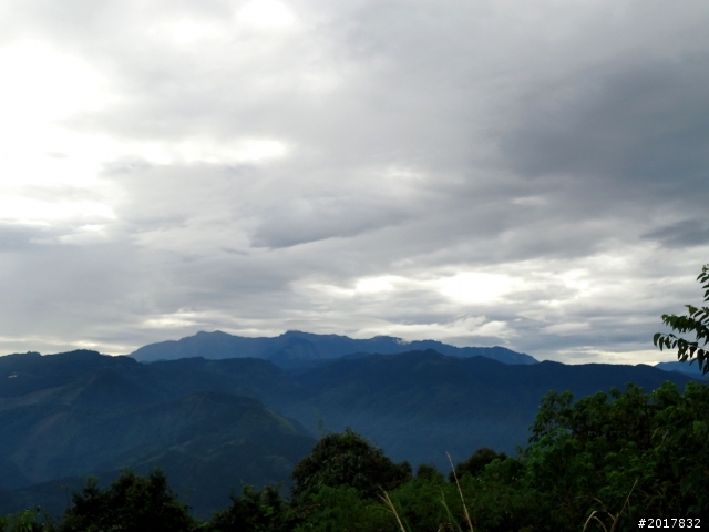 2012-8-26-27天秤二度來襲前(阿里山茶鄉之旅)