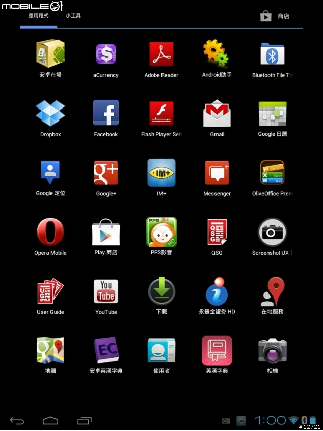 Viewpad 10e ICS 升級