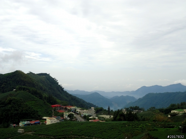 2012-8-26-27天秤二度來襲前(阿里山茶鄉之旅)