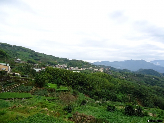 2012-8-26-27天秤二度來襲前(阿里山茶鄉之旅)