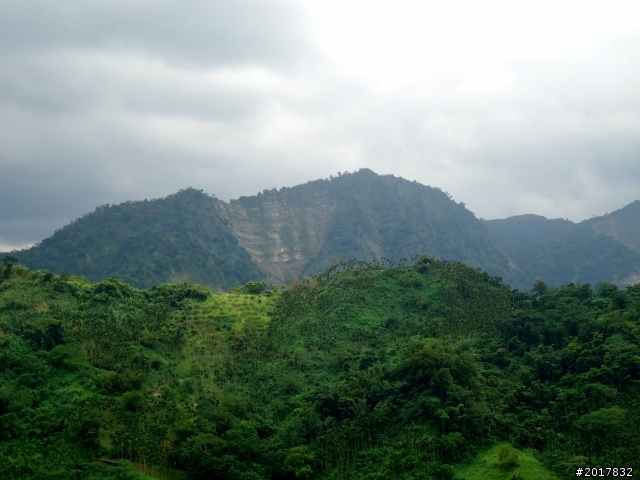 2012-8-26-27天秤二度來襲前(阿里山茶鄉之旅)