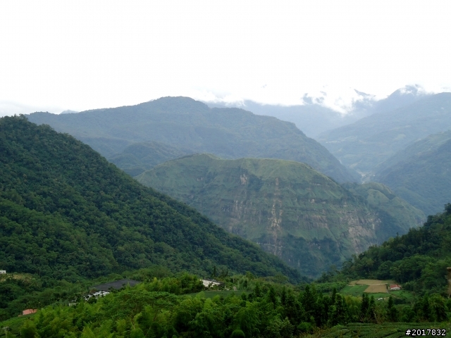 2012-8-26-27天秤二度來襲前(阿里山茶鄉之旅)