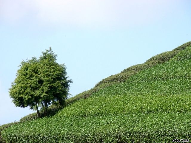 2012-9-2梅山太平大二尖山之行