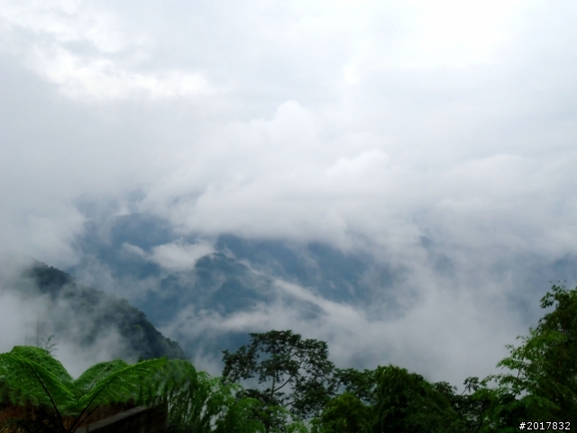 2012-8-26-27天秤二度來襲前(阿里山茶鄉之旅)