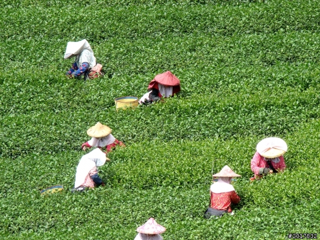 2012-9-2梅山太平大二尖山之行