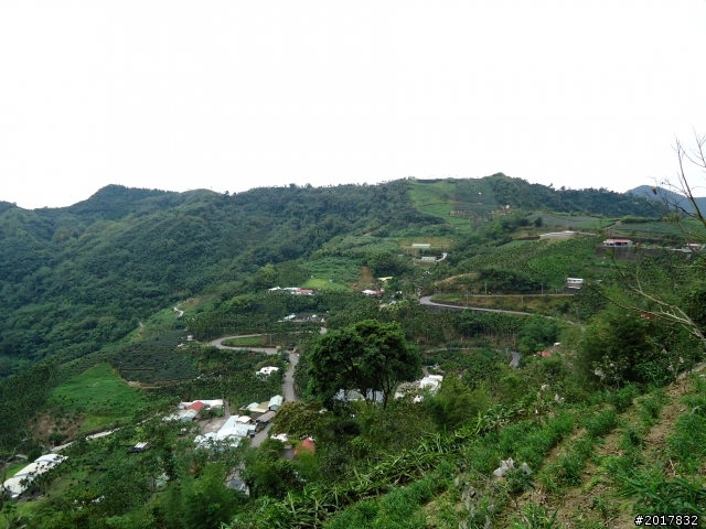 2012-8-26-27天秤二度來襲前(阿里山茶鄉之旅)