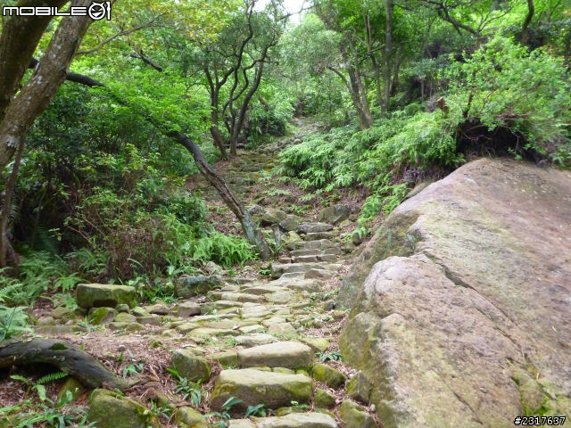 台北府城-三線路