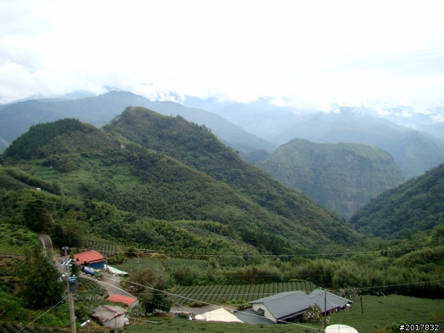 2012-8-26-27天秤二度來襲前(阿里山茶鄉之旅)