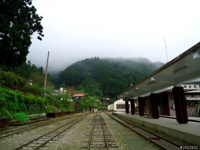 2012-8-26-27天秤二度來襲前(阿里山茶鄉之旅)